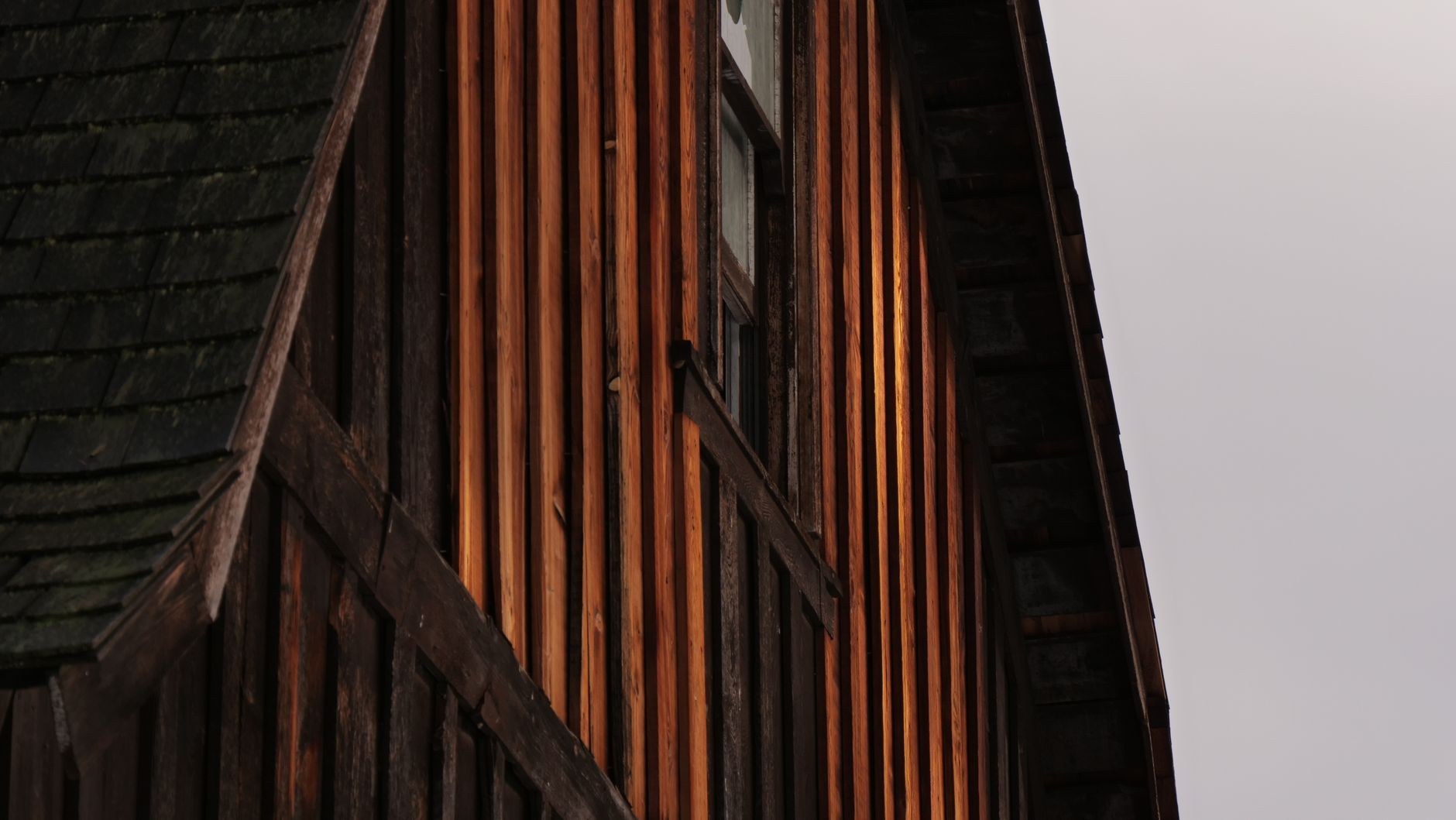 Warm timber cladding and joinery detail